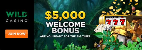wild casino bonus codes no wagering|Wild Casino No Deposit Bonus Promo Codes 2024 .